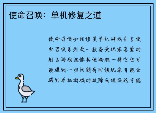 使命召唤：单机修复之道